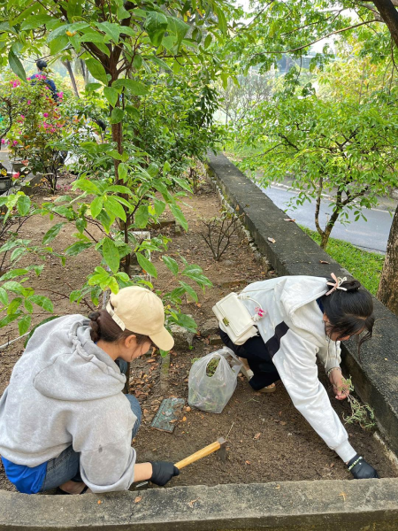 CÔNG TRÌNH THANH NIÊN - DẤU ẤN XANH 2025