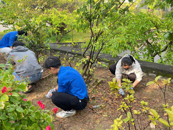 CÔNG TRÌNH THANH NIÊN - DẤU ẤN XANH 2025