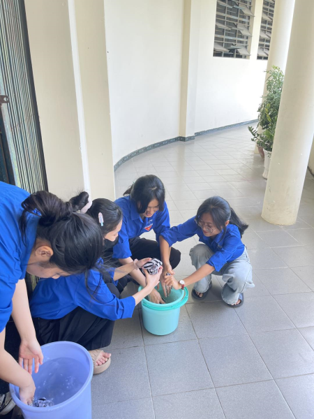 NGÀY CHỦ NHẬT XANH LẦN THỨ  I - NĂM 2025